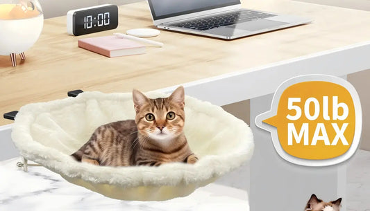 Cat lying comfortably on a plush white desk hammock with 50lb max weight limit showing how to choose a cat desk hammock