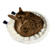 FelRelWel cat desk bed with plush white lining and clips holding a curled brown tabby cat
