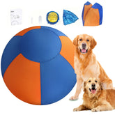 FelRelWel herding ball for dogs in blue and orange with two golden retrievers and accessories