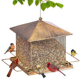 FelRelWel squirrel proof bird feeder with metal mesh design attracting various small birds