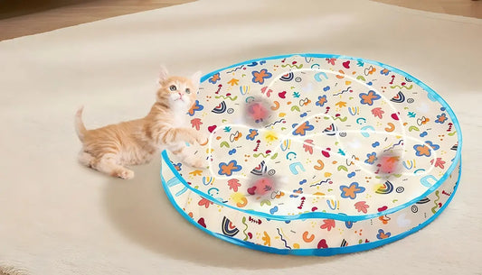 Orange kitten batting at a colorful circular play mat with feathered balls best toys to keep cats entertained