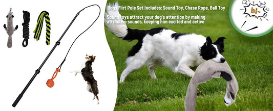 Flirt Pole for Dogs set with sound toy, chase rope, and ball toy for interactive dog play