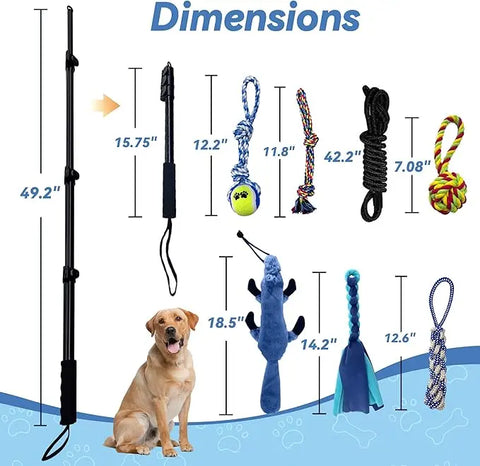 Flirt Pole for Dogs | Durable Interactive Training Toy for High-Energy Breeds