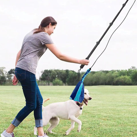 Flirt Pole for Dogs | Durable Interactive Training Toy for High-Energy Breeds