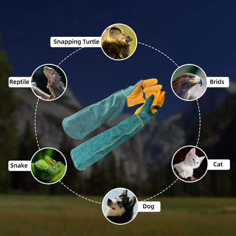FelRelWel animal handling gloves in green and orange designed for safely handling snakes, turtles, birds, cats, dogs, and reptiles