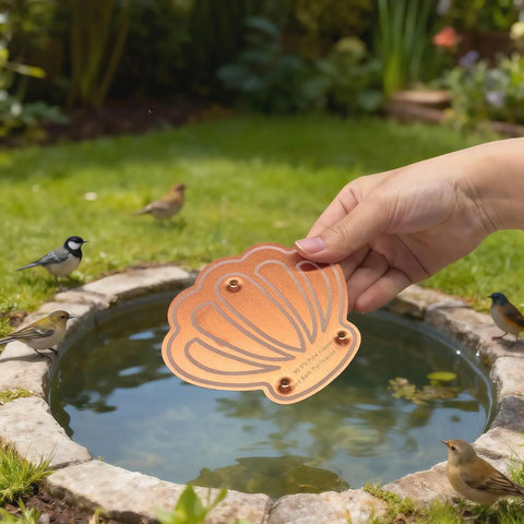 Hand holding a bird bath copper cleaning disk over a bird bath with birds nearby