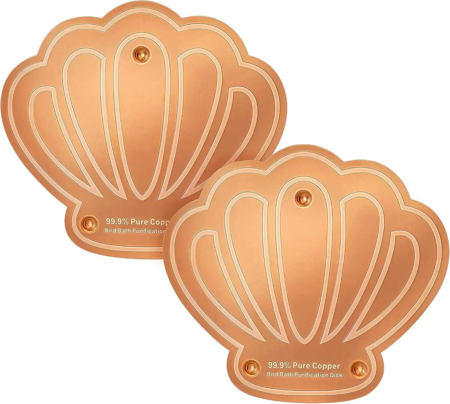 FelRelWel Bird Bath Copper Cleaning Disk in a Shell Shape for Easy Purification of Bird Baths