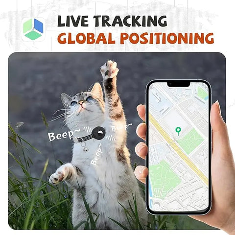 Cat wearing FelRelWel GPS Pet Tracker collar with live tracking shown on smartphone map