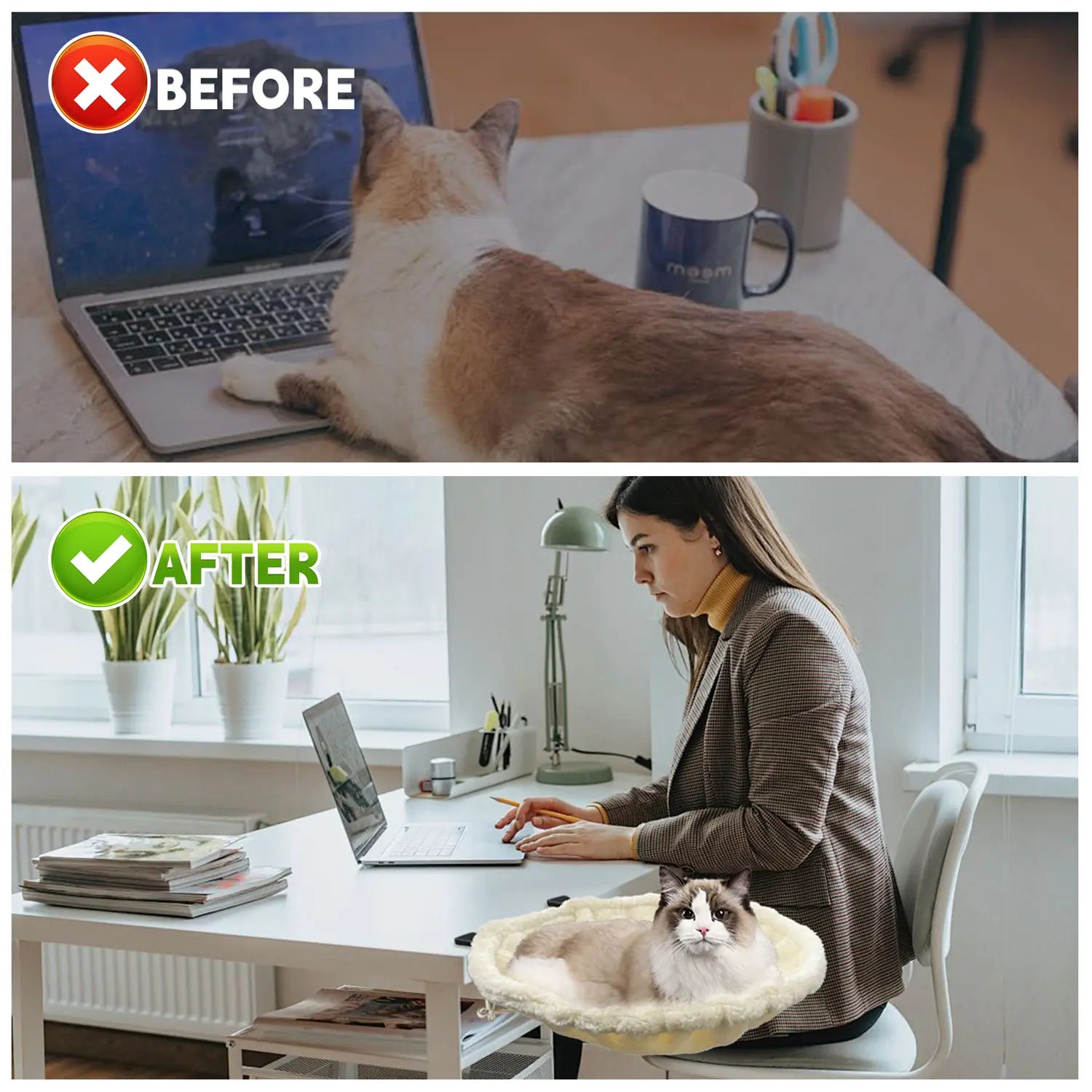Before and after images showing the benefit of a cat desk bed with cat lying on laptop then in cozy bed beside woman working