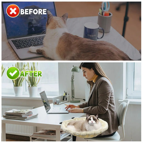 Before and after images showing the benefit of a cat desk bed with cat lying on laptop then in cozy bed beside woman working
