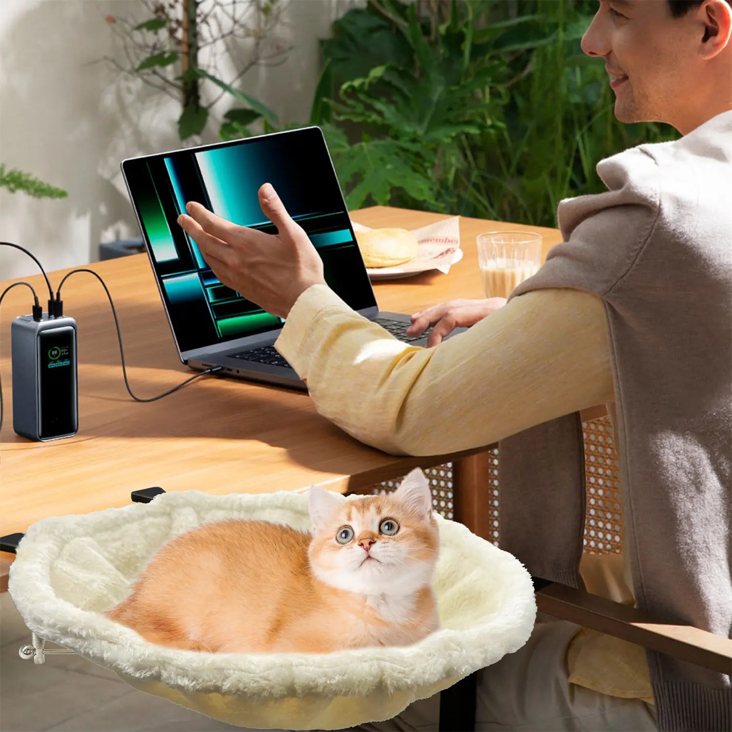 FelRelWel cat desk bed with soft plush cushion mounted on desk holding an orange and white cat