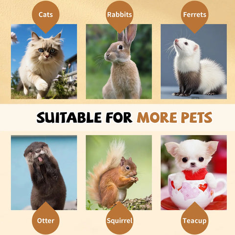 FelRelWel Cat Tunnel suitable for cats rabbits ferrets otters squirrels and small pets like teacup dogs