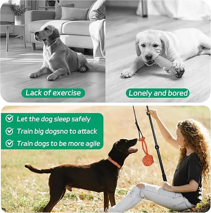FelRelWel Dog Flirt Pole being used by a woman to play and train a black dog outdoors