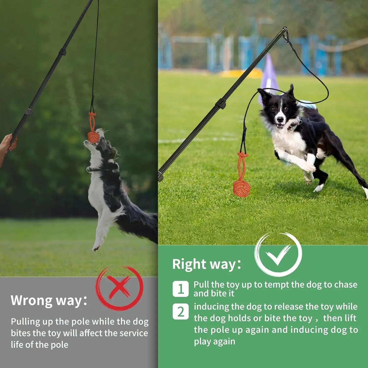 FelRelWel Dog Flirt Pole dog teaser wand with orange toy for interactive dog play