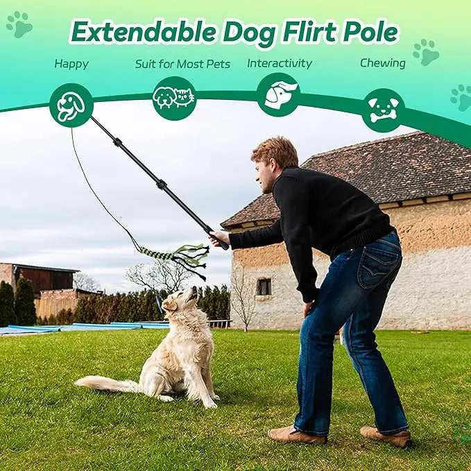 FelRelWel extendable Dog Flirt Pole used by man to play with happy golden retriever on grass