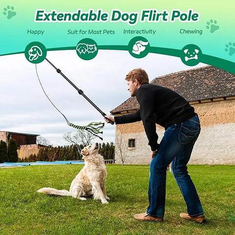 FelRelWel extendable Dog Flirt Pole used by man to play with happy golden retriever on grass
