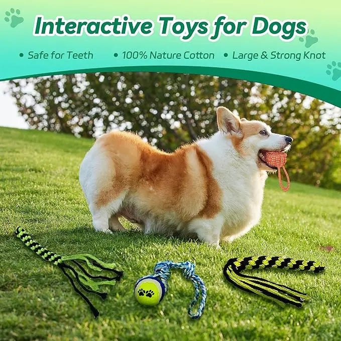 FelRelWel Dog Flirt Pole and interactive dog toys with natural cotton and strong knots on grass