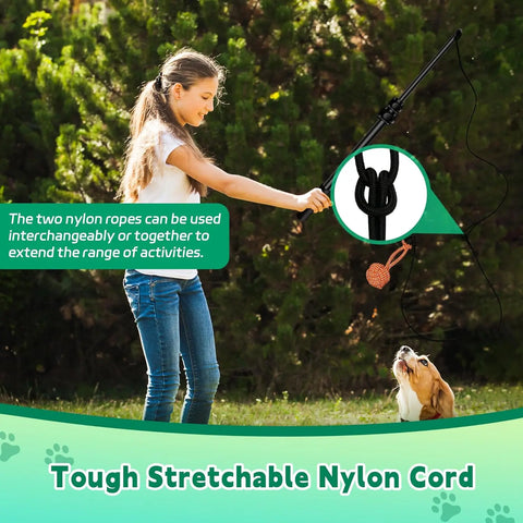 FelRelWel dog flirt pole with tough stretchable nylon cord used by a girl playing with her dog outdoors