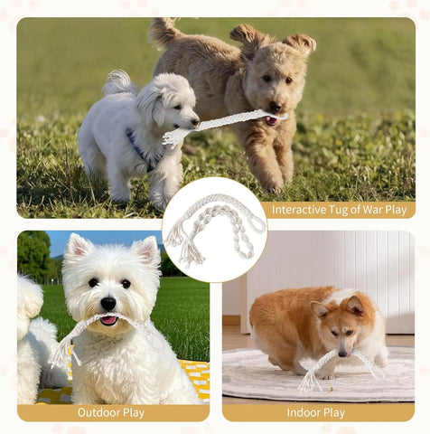 FelRelWel dog rope toys for aggressive chewers in various play scenarios with happy dogs