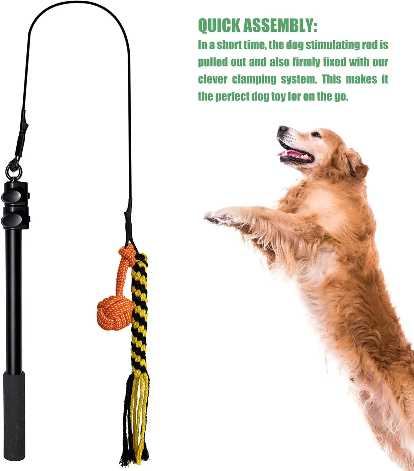FelRelWel dog teaser wand with rope toy and orange ball next to jumping golden retriever Flirt Pole for Dogs