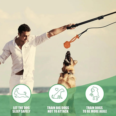 Man using FelRelWel Flirt Pole for Dogs with orange ball on wand to train energetic German Shepherd