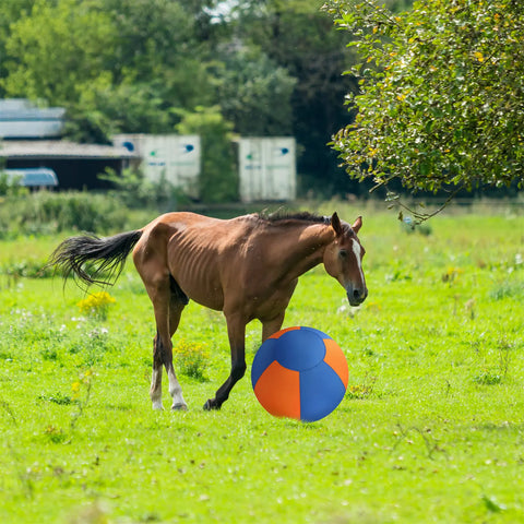 Brown horse standing in a green field next to a blue and orange herding ball for dogs