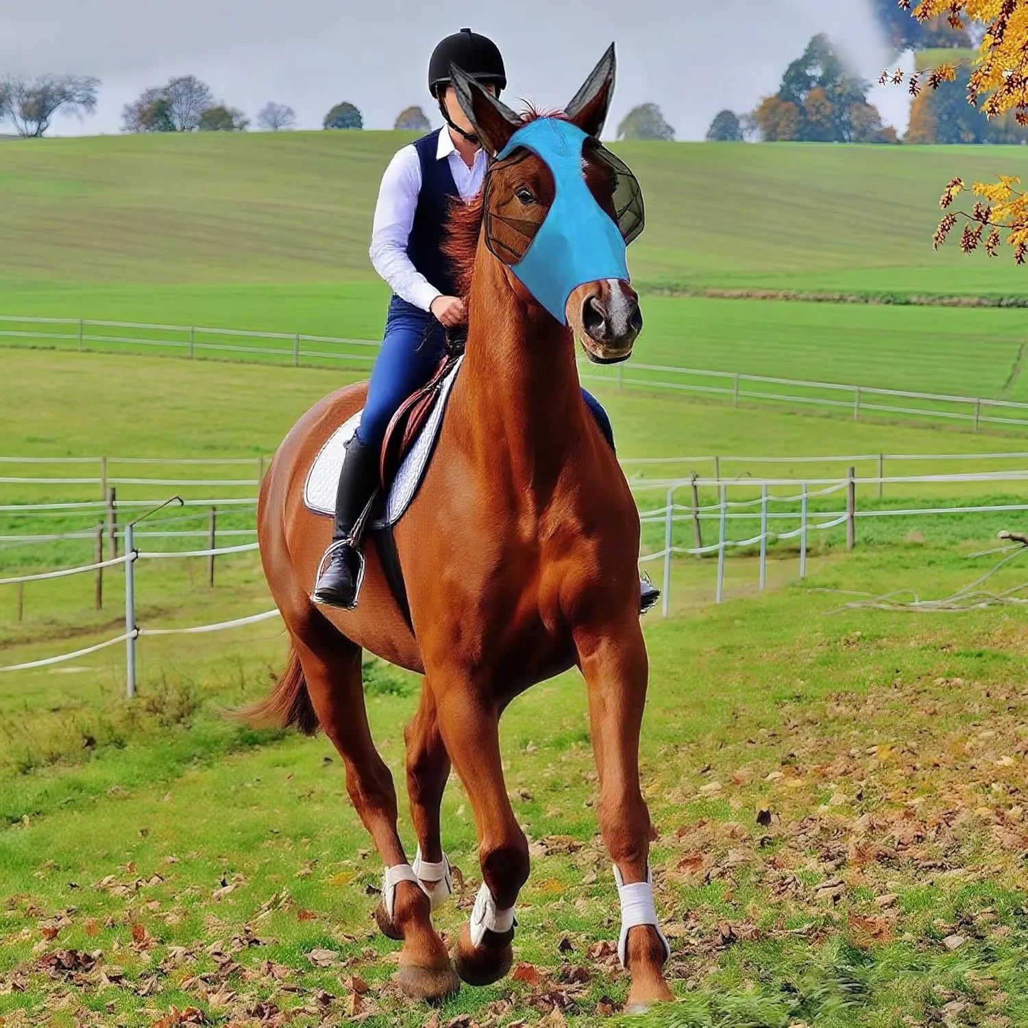 Horse Fly Boots and Mask Set in Blue for Protecting Horses from Insects during Outdoor Rides