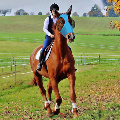Horse Fly Boots and Mask Set in Blue for Protecting Horses from Insects during Outdoor Rides