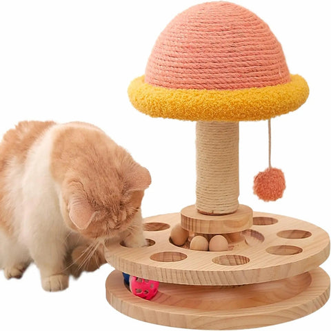 Cat Hanging Ball