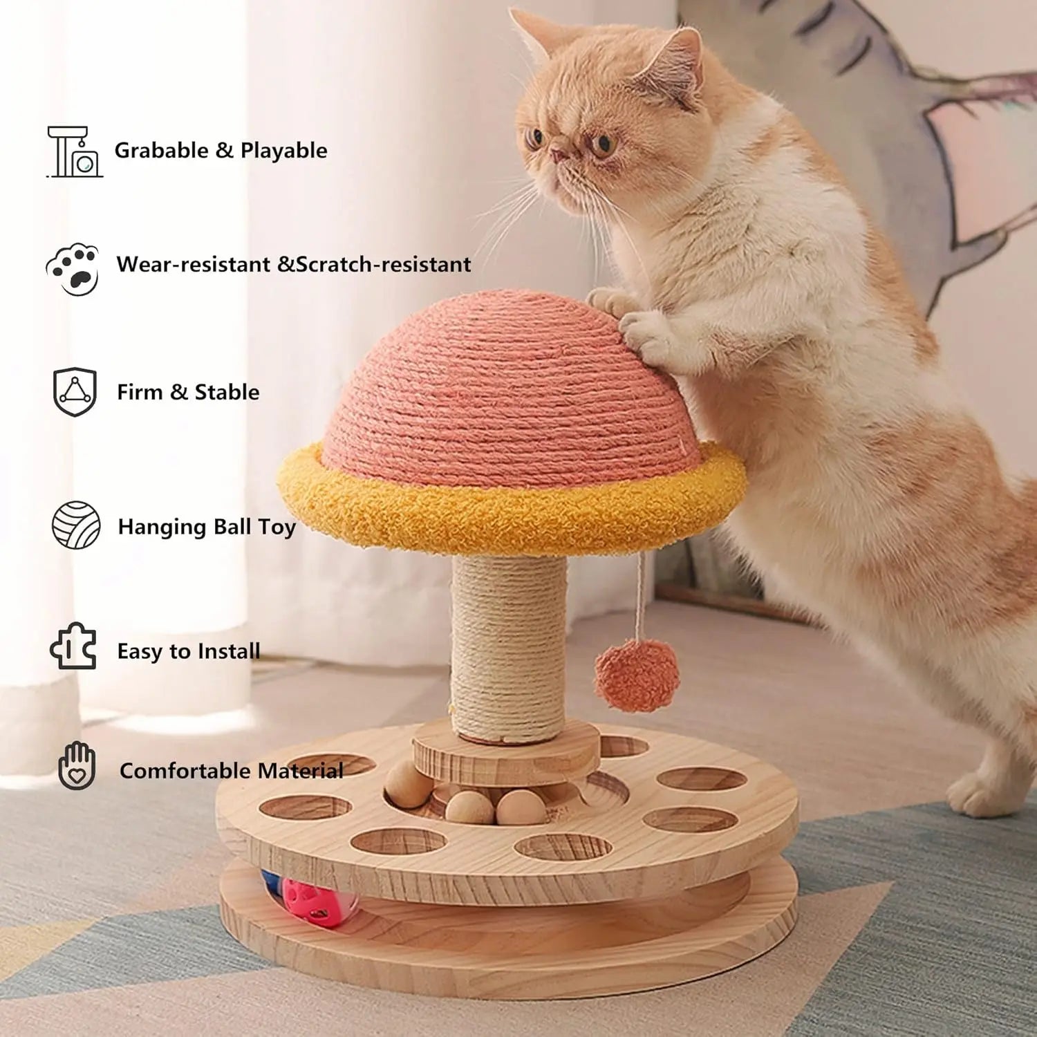 Cat Hanging Ball