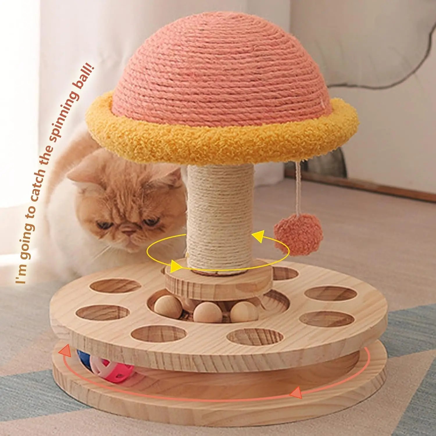 Cat Hanging Ball