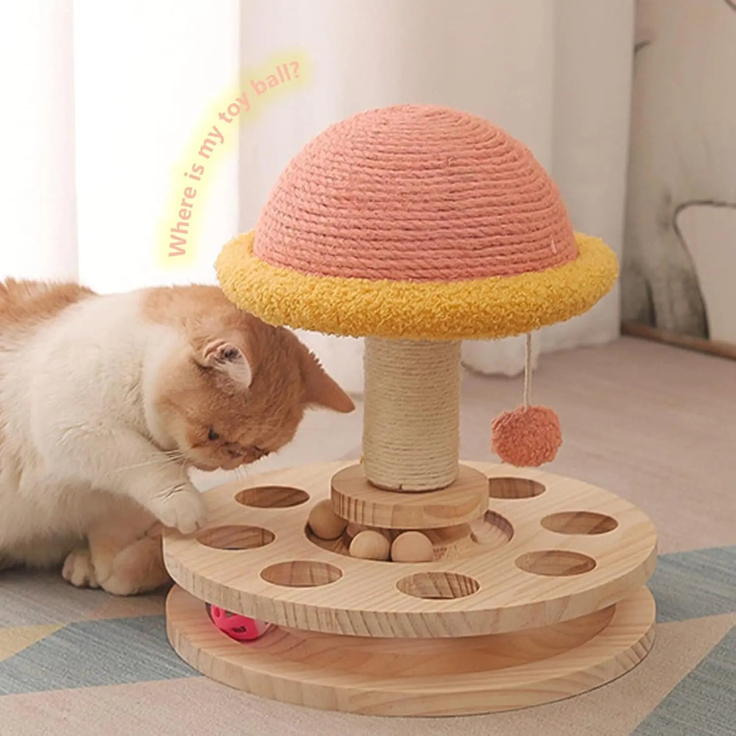 Cat Hanging Ball