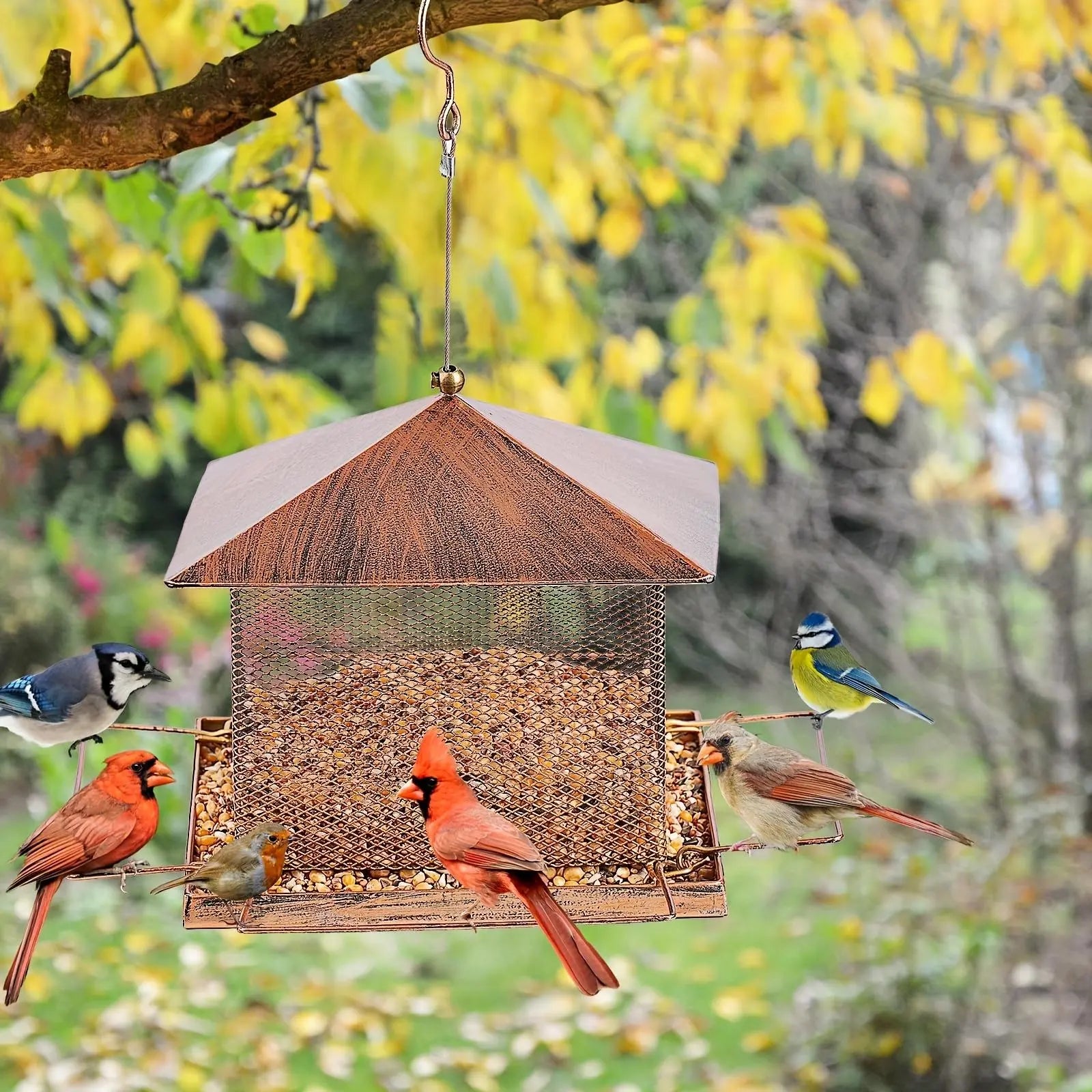 FelRelWel squirrel proof bird feeder hanging from tree branch with various birds feeding outdoors