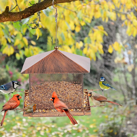 FelRelWel squirrel proof bird feeder hanging from tree branch with various birds feeding outdoors