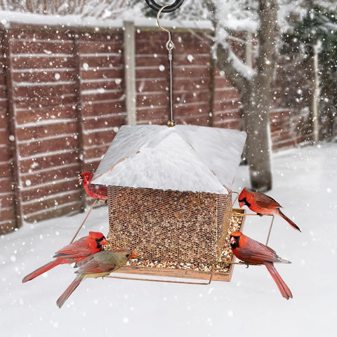 FelRelWel squirrel proof bird feeder covered in snow with multiple cardinals feeding on a snowy winter day