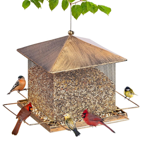 FelRelWel squirrel proof bird feeder with metal mesh design attracting various small birds