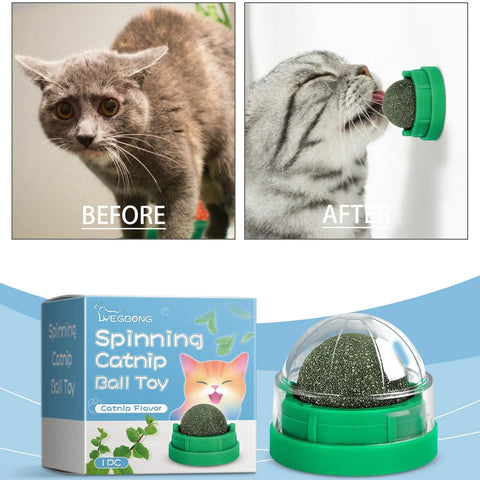 FelRelWel spinning catnip ball toy with green base and clear dome for cats