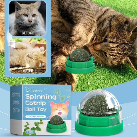 FelRelWel spinning catnip ball toy with green base and clear cover for playful cats